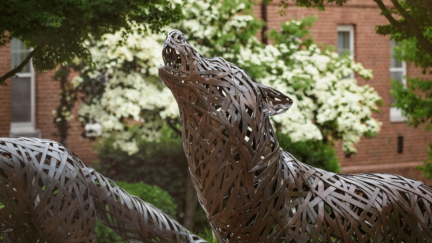 Decorative